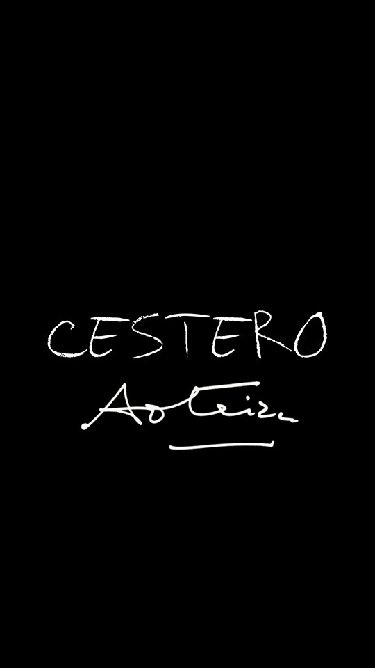 CESTERO: cuando las manos guardan la memoria